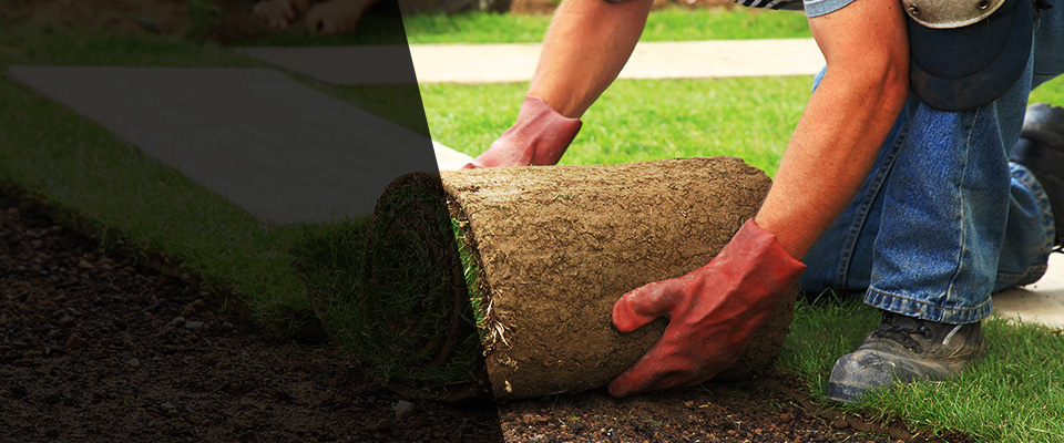 Merkel Landscapers